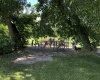209 Tinant Road, Manitoba R0E 1A0, 3 Bedrooms Bedrooms, ,2 BathroomsBathrooms,Residential,Sold,1144 209 Tinant Road, Manitoba R0E 1A0, 3 Bedrooms Bedrooms, ,2 BathroomsBathrooms,Residential,Sold,1144