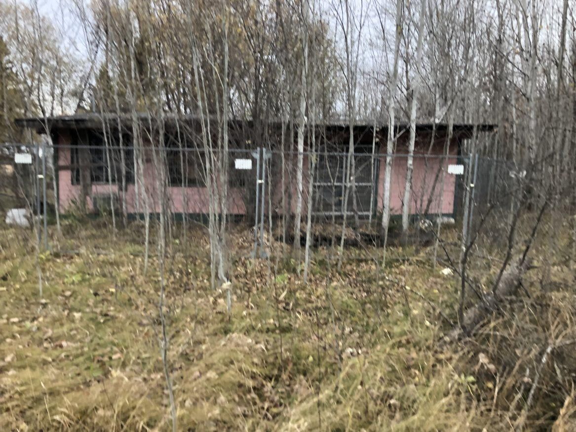 494 Lee River Road, Manitoba R0E 1A0, 3 Bedrooms Bedrooms, ,1 BathroomBathrooms,Residential,Sold,1148 494 Lee River Road, Manitoba R0E 1A0, 3 Bedrooms Bedrooms, ,1 BathroomBathrooms,Residential,Sold,1148