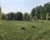 0 Newcombe Road, Manitoba R0E 1A0, ,Land,Sold,1173 0 Newcombe Road, Manitoba R0E 1A0, ,Land,Sold,1173