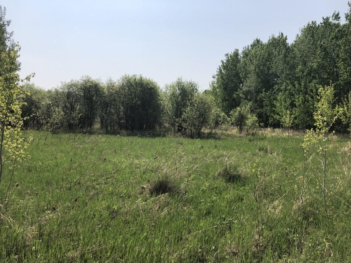 0 Newcombe Road, Manitoba R0E 1A0, ,Land,Sold,1173 0 Newcombe Road, Manitoba R0E 1A0, ,Land,Sold,1173