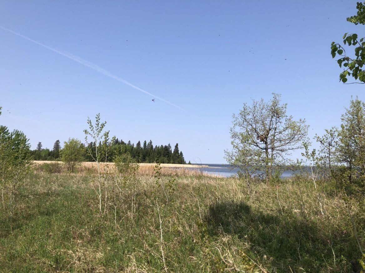 0 Newcombe Road, Manitoba R0E 1A0, ,Land,Sold,1173 0 Newcombe Road, Manitoba R0E 1A0, ,Land,Sold,1173