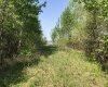0 Newcombe Road, Manitoba R0E 1A0, ,Land,Sold,1173 0 Newcombe Road, Manitoba R0E 1A0, ,Land,Sold,1173