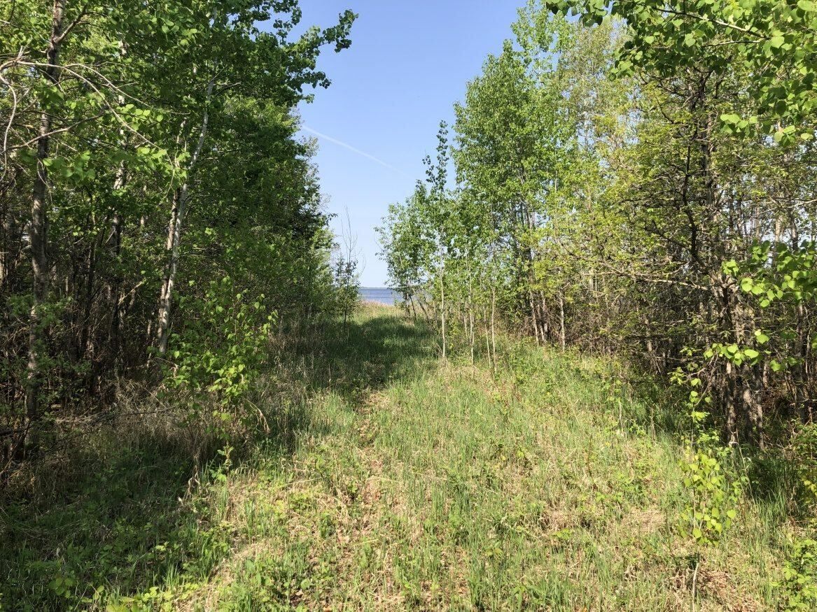 0 Newcombe Road, Manitoba R0E 1A0, ,Land,Sold,1173 0 Newcombe Road, Manitoba R0E 1A0, ,Land,Sold,1173