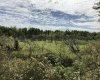 0 Newcombe Road, Manitoba R0E 1A0, ,Land,Sold,1173 0 Newcombe Road, Manitoba R0E 1A0, ,Land,Sold,1173