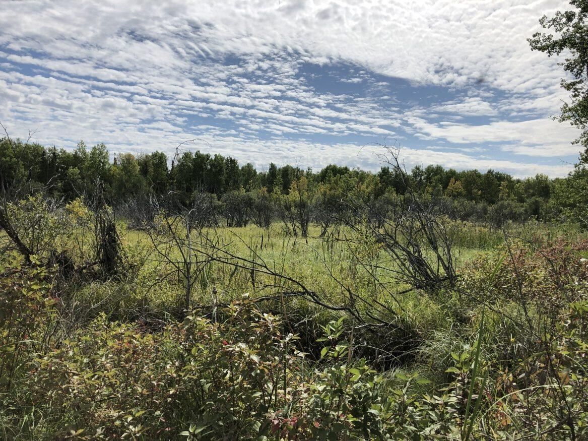 0 Newcombe Road, Manitoba R0E 1A0, ,Land,Sold,1173 0 Newcombe Road, Manitoba R0E 1A0, ,Land,Sold,1173