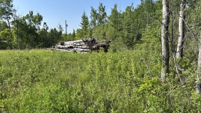 610 Highway 502, Manitoba R0E 1A0, 0 ,0,Land,New,0,1249 610 Highway 502, Manitoba R0E 1A0, 0 ,0,Land,New,0,1249