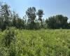 610 Highway 502, Manitoba R0E 1A0, 0 ,0,Land,New,0,1249 610 Highway 502, Manitoba R0E 1A0, 0 ,0,Land,New,0,1249