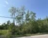 610 Highway 502, Manitoba R0E 1A0, 0 ,0,Land,New,0,1249 610 Highway 502, Manitoba R0E 1A0, 0 ,0,Land,New,0,1249