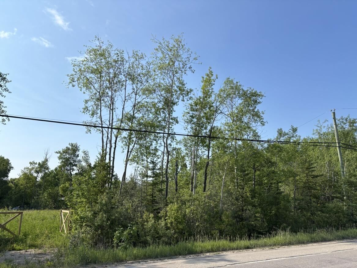 610 Highway 502, Manitoba R0E 1A0, 0 ,0,Land,New,0,1249 610 Highway 502, Manitoba R0E 1A0, 0 ,0,Land,New,0,1249