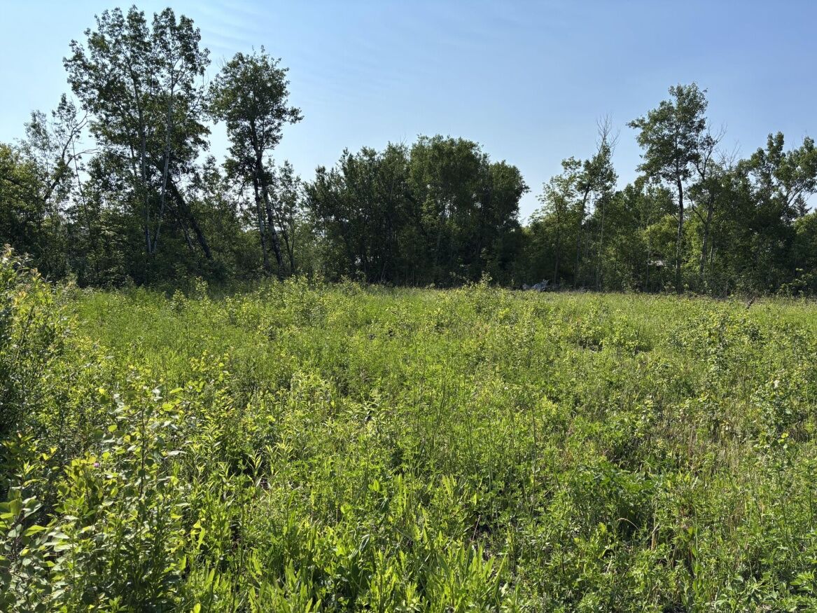 612 Highway 502, Manitoba R0E 1A0, 0 ,0,Land,New,0,1250 612 Highway 502, Manitoba R0E 1A0, 0 ,0,Land,New,0,1250