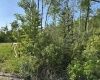 612 Highway 502, Manitoba R0E 1A0, 0 ,0,Land,New,0,1250 612 Highway 502, Manitoba R0E 1A0, 0 ,0,Land,New,0,1250
