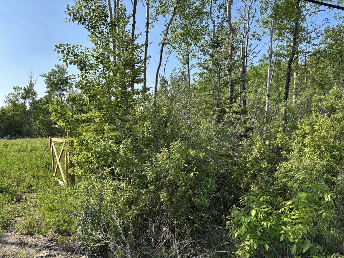 612 Highway 502, Manitoba R0E 1A0, 0 ,0,Land,New,0,1250 612 Highway 502, Manitoba R0E 1A0, 0 ,0,Land,New,0,1250