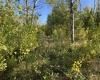 0 Lagsdin Way, Manitoba R0E 1A0, 0 ,0,Land,Sold,0,1289 0 Lagsdin Way, Manitoba R0E 1A0, 0 ,0,Land,Sold,0,1289