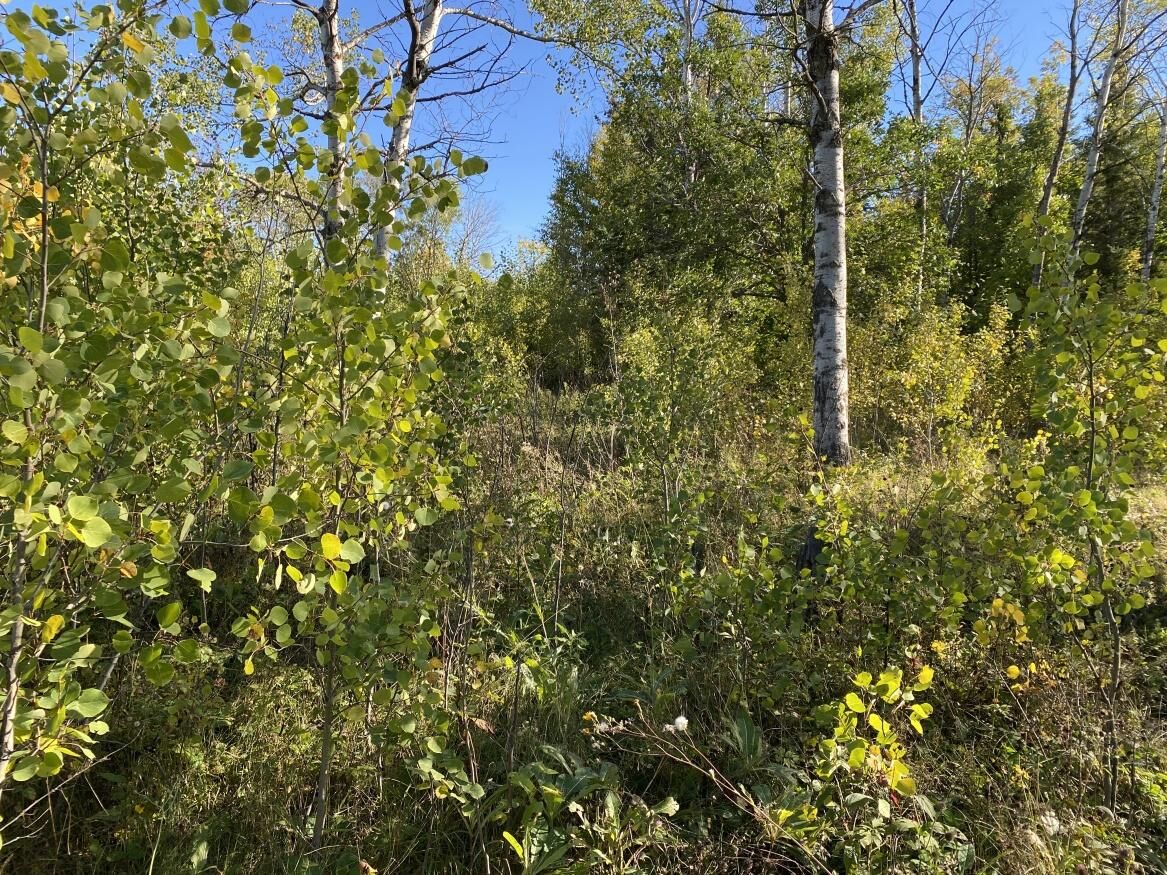 0 Lagsdin Way, Manitoba R0E 1A0, 0 ,0,Land,Sold,0,1289 0 Lagsdin Way, Manitoba R0E 1A0, 0 ,0,Land,Sold,0,1289