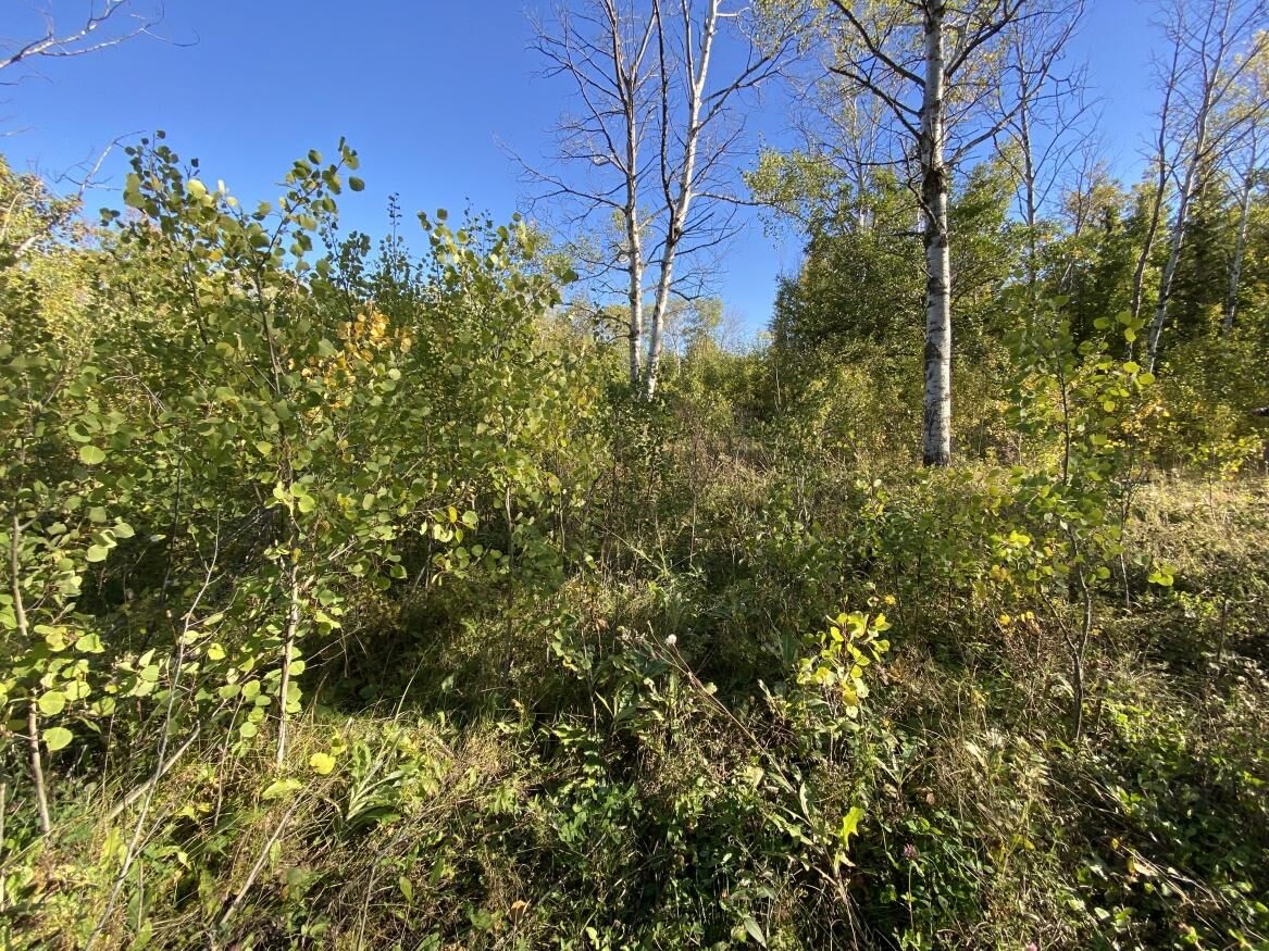 0 Lagsdin Way, Manitoba R0E 1A0, 0 ,0,Land,Sold,0,1289 0 Lagsdin Way, Manitoba R0E 1A0, 0 ,0,Land,Sold,0,1289